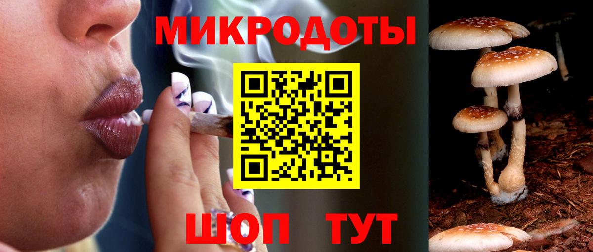 Мурманск  Псилоцибиновые грибы мухоморы  Вход с VPN 