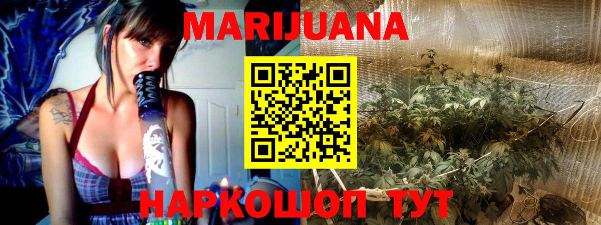 Шишки марихуана семена Мурманск